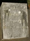 Thomas WAGNER, baby, died 17 Dec 1972; Lawnton cemetery, Pine Rivers Shire 