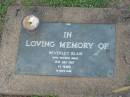 
Beverley BLAIR,
died 15 July 1987 aged 42 years;
Lawnton cemetery, Pine Rivers Shire
