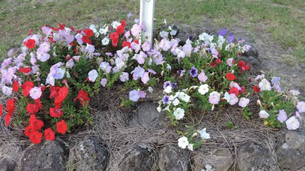 Legume cemetery, Tenterfield, NSW  |   |   | 