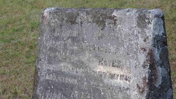 Alice Ellen HAYES  | d: 19 Aug 1934 aged 61  |   | Matthew J HAYES  | d: 16 Jul 1949 aged 79  |   | Legume cemetery, Tenterfield, NSW  |   | 