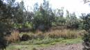 Site of Lilyvale township