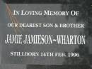 Jamie JAMIESON-WHARTON, stillborn 14 Feb 1996, son brother; Logan Village Cemetery, Beaudesert Shire 
