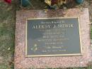 Aleksy J. NOWIK, 3-6-1921 - 2-7-1995, husband dad grandfather; Logan Village Cemetery, Beaudesert Shire 