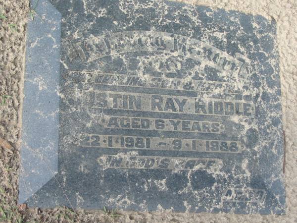 Justin Ray RIDDLE,  | son brother,  | 22-1-1981 - 9-1-1988  | aged 6 years;  | Logan Village Cemetery, Beaudesert  | 