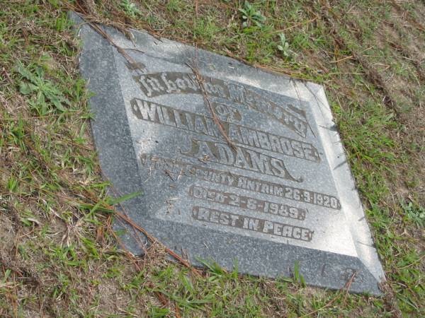 William Ambrose ADAMS, born County Atrim 26-9-1920 died 2-6-1989;  | Logan Village Cemetery, Beaudesert  | 