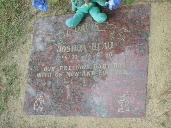 DAVIS;  | Joshua Beau 12-6-90 - 6-9-90;  | Logan Village Cemetery, Beaudesert Shire  | 