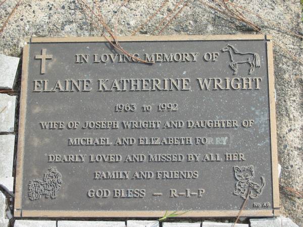 Elaine Katherine WRIGHT,  | 1963 - 1992,  | wife of Joseph WRIGHT,  | daughter of Michael and Elizabeth FORRY;  | Logan Village Cemetery, Beaudesert Shire  | 