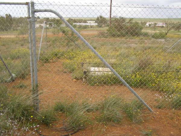 Sam DIDDAMS  | d: 22 Jan 1895, aged 25  | eredted by his father and sisters.  | Mullewa, WA  | 