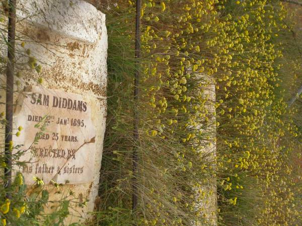 Sam DIDDAMS  | d: 22 Jan 1895, aged 25  | erected by his father and sisters.  | Mullewa, WA  | 
