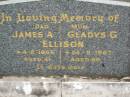 James A. ELLISON, dad, died 4-2-1956 aged 41 years; Gladys G. ELLISON, mum, died 24-11-1967 aged 59 years; Lower Coomera cemetery, Gold Coast 