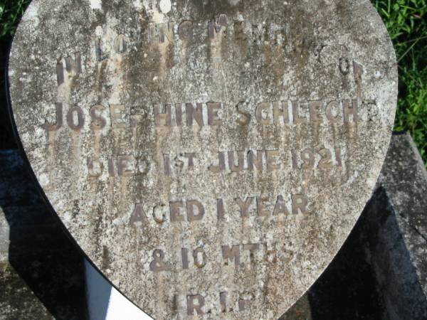 Josephine SCHLECHT,  | died 1 June 1921 aged 1 year 10 months;  | St Michael's Catholic Cemetery, Lowood, Esk Shire  | 