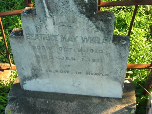 Beatrice May WHELAN,  | born 2 Oct 1910 died 1 Jan 1911;  | St Michael's Catholic Cemetery, Lowood, Esk Shire  | 