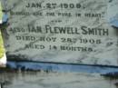 Dorothy Ella BOARD
aged 17
Stephen Flewell SMITH
aged 16
drowned at Lowood 2 Jan 1909
Ian Flewell SMITH
28 Nov 1905, aged 14 months
Lowood General Cemetery