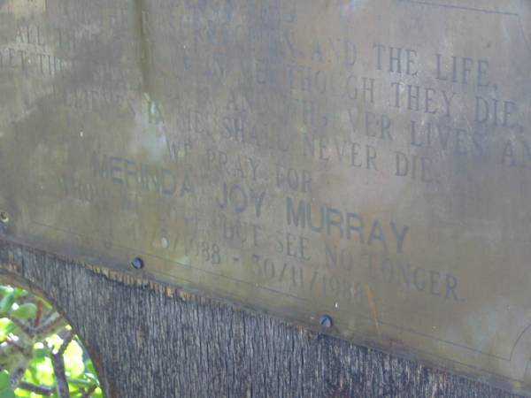 Merinda Joy MURRAY  | b: 19 May 1988, d: 30 Nov 1988  | Lowood General Cemetery  |   | 