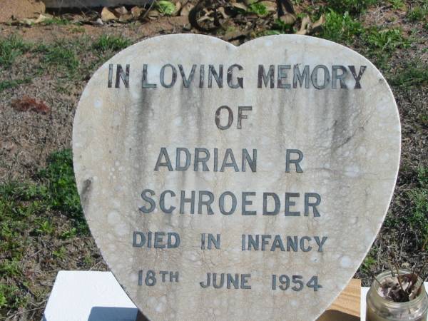 Adrian R. SCHROEDER, died in infancy 18 June 1954;  | Lowood Trinity Lutheran Cemetery (St Mark's Section), Esk Shire  | 