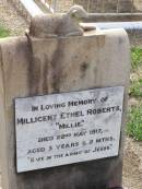 
Millicent Ethel (Millie) ROBERTS,
died 22 May 1917 aged 3 years 2 months;
Ma Ma Creek Anglican Cemetery, Gatton shire
