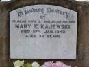 
Mary E. KAJEWSKI, wife mother,
died 11 Jan 1949 aged 36 years;
infant KAJEWSKI,
died 6-9-1968;
Ma Ma Creek Anglican Cemetery, Gatton shire
