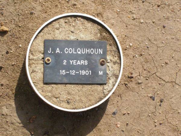 J.A. COLQUHOUN, male,  | died 15-12-1901 aged 2 years;  | Ma Ma Creek Anglican Cemetery, Gatton shire  | 