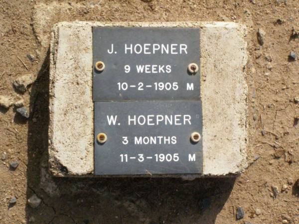 J. HOEPNER, male,  | died 10-2-1905 aged 9 weeks;  | W. HOEPNER, male,  | died 11-3-1905 aged 3 months;  | Ma Ma Creek Anglican Cemetery, Gatton shire  | 