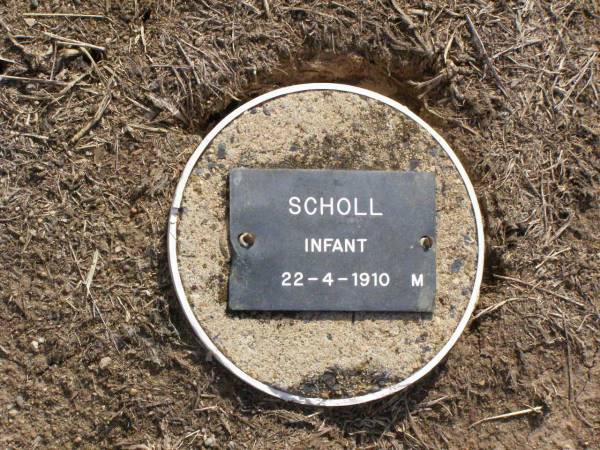 SCHOLL, infant male,  | died 22-4-1910;  | Ma Ma Creek Anglican Cemetery, Gatton shire  | 