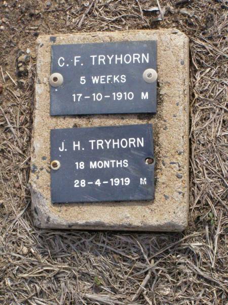 C.F. TRYHORN, male,  | died 17-10-1910 aged 5 weeks;  | J.H. TRYHORN, male,  | died 28-4-1919 aged 18 months;  | Ma Ma Creek Anglican Cemetery, Gatton shire  | 