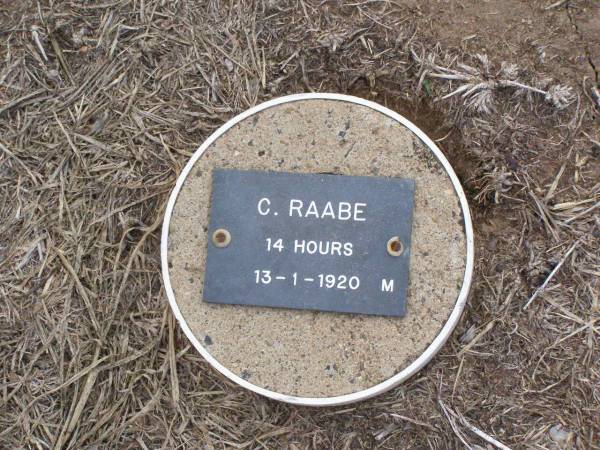 C. RAABE, male,  | died 13-1-1920 aged 14 hours;  | Ma Ma Creek Anglican Cemetery, Gatton shire  | 