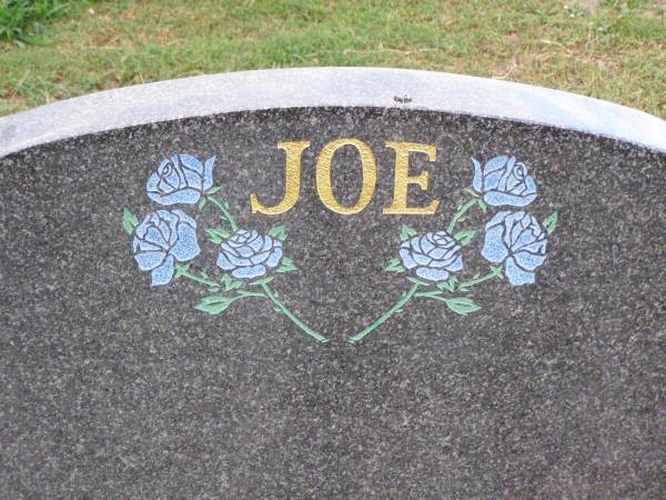 Joseph (Joe) Aaron PLANT,  | son brother,  | born 2 May 1986  | died tragically 12 Nov 2001  | aged 15 years 6 months 10 days;  | Ma Ma Creek Anglican Cemetery, Gatton shire  | 