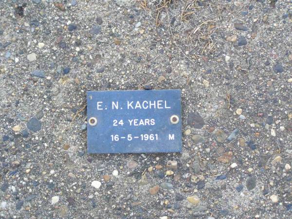 E.N. KACHEL, male,  | died 16-5-1961 aged 24 years;  | Ma Ma Creek Anglican Cemetery, Gatton shire  | 