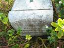 
Zillah, wife of J.L. FREDERICH, died 27 June 1900;
Johannes Ludwig FREDERICH, died 30 July 1909;
Alice Caroline Henriette, wife of Harold P. FREDERICH,
died 6 Dec 1916;
Marburg Anglican Cemetery, Ipswich
