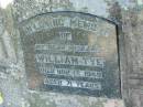 
William TYE,
died 17 Nov 1949 aged 71 years,
husband;
Marburg Anglican Cemetery, Ipswich
