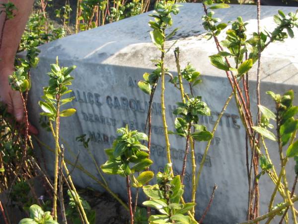 Zillah, wife of J.L. FREDERICH, died 27 June 1900;  | Johannes Ludwig FREDERICH, died 30 July 1909;  | Alice Caroline Henriette, wife of Harold P. FREDERICH,  | died 6 Dec 1916;  | Marburg Anglican Cemetery, Ipswich  | 