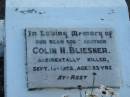 Colin N. BLIESNER, son brother, accidentally killed 13 Sept 1952 aged 23 years; Marburg Lutheran Cemetery, Ipswich 