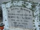 Selwyn Roy LESCHKE, son brother, died 19 Jan 1948 aged 21 years; Marburg Lutheran Cemetery, Ipswich 