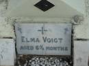 Elma VOIGT, aged 6 and a half months; Marburg Lutheran Cemetery, Ipswich 