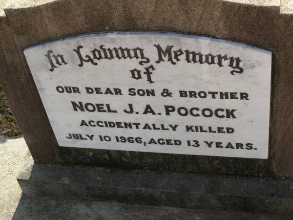 Noel J.A. POCOCK,  | son brother,  | accidentally killed 10 July 1966 aged 13 years;  | Maroon General Cemetery, Boonah Shire  | 