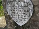 James (Jim) Harold MALLINSON,
son brother,
died 11 May 1923? aged 14 years 11 months;
Maroon General Cemetery, Boonah Shire