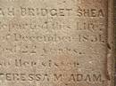 Sarah Bridget SHEA, died 5? Dec 1851 aged 22 years; Ann Teressa MCADAM, sister, died 3? Feb 1850 aged 22 years; erected by John SHEA; Phelip Agustin MCADAM, drowned at sea 1852 aged 18 years; Susanah Mary MCADAM, drowned at sea 1852 aged 20 years; Pioneer Cemetery, Maryborough 