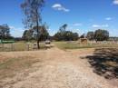 Meandarra cemetery
Copyright Dr Matt Barton