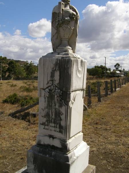 William John MOLONEY,  | died 21 March 1925 aged 23 years;  | Meringandan cemetery, Rosalie Shire  | 