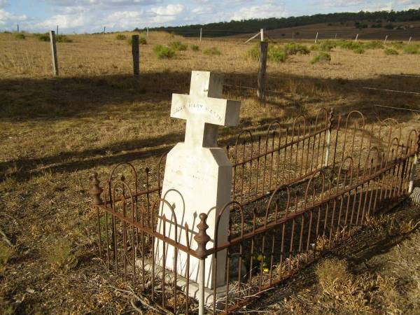 John HARTH,  | native of Frankfort Germany,  | died 9 July 1880 aged 42 years;  | Anna Mary HARTH,  | daughter,  | died 1 Jan 1881 aged 9 months;  | Meringandan cemetery, Rosalie Shire  | 