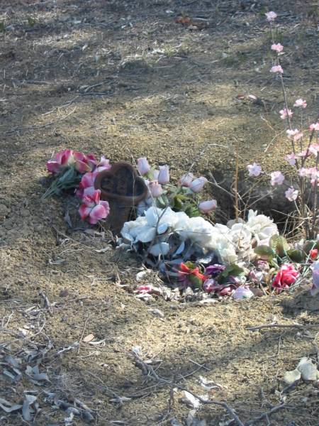 Meringandan cemetery, Rosalie Shire  | 