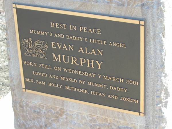 Evan Alan MURPHY,  | stilborn Wed 7 March 2001,  | loved by mummy, daddy, Ben, Sam, Holly,  | Bethanie, Ieuan & Joseph;  | Meringandan cemetery, Rosalie Shire  | 