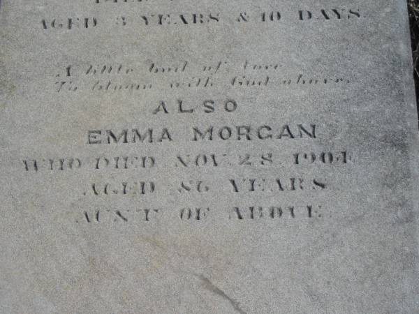 Emma,  | daughter of George & Elizabeth VIGGERS,  | died 1 Feb 1894 aged 3 years 10 days;  | Emma MORGAN,  | aunt,  | died 28 Nov 1904 aged 86 years;  | Meringandan cemetery, Rosalie Shire  | 