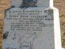 
Henry Mark (Andy) LAVENDER,
brother,
born 5 Aug 1884,
died 13 Oct 1946 aged 62 years;
Meringandan cemetery, Rosalie Shire
