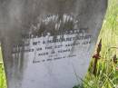 Michael J. SEELEY,
son of Wm & Margaret SEELEY,
died 22 August 1899 aged 16 years;
Milbong General Cemetery, Boonah Shire