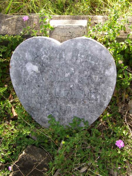 Phillip LLEWELLYN, son,  | died 19 Apr 1939;  | Milbong General Cemetery, Boonah Shire  | 