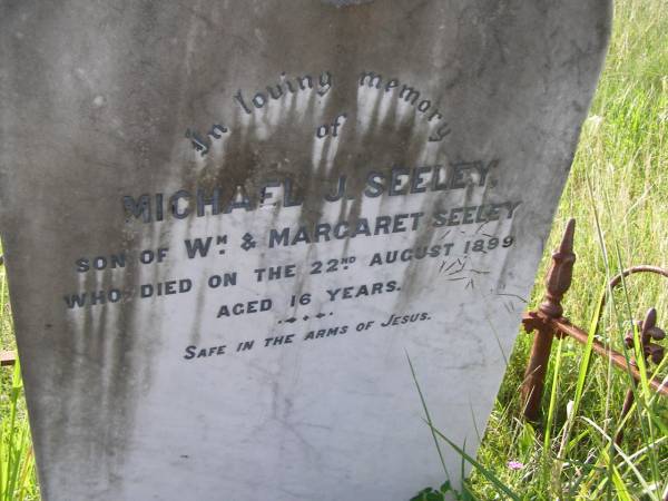 Michael J. SEELEY,  | son of Wm & Margaret SEELEY,  | died 22 August 1899 aged 16 years;  | Milbong General Cemetery, Boonah Shire  | 