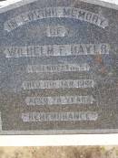 Wilhelm F. BAYER,
grandfather,
died 11 Jan 1941 aged 79 years;
Milbong St Lukes Lutheran cemetery, Boonah Shire