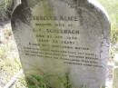 
Isabella Alice,
wife of C.F. SCHELBACH,
die 23 Sept 1895 aged 34 years,
wife mother;
Milbong St Lukes Lutheran cemetery, Boonah Shire
