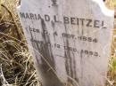 
Maria D.L. BEITZEL,
born 4 Oct 1884,
died 2 Dec 1893;
Milbong St Lukes Lutheran cemetery, Boonah Shire
